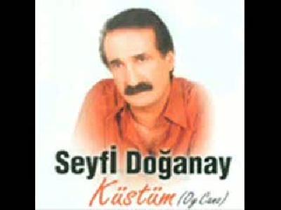 seyfi doğanay