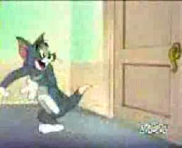 kedi kürtçe izle çok komik