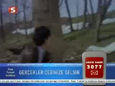 kucuk ceylan
