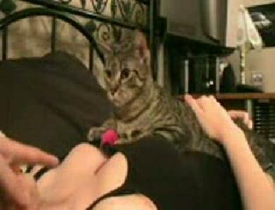 seksi kız kıskanç kedi