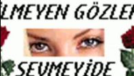 zara-tanrıdan diledim-yakamoz-cy