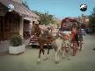 Han�m�n �iftli�i B�l�m 1 Part 1
