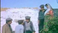 video Aha kafası yarıldı