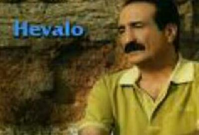 seyfi doğanay aralarda