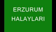erzurum halaylari 2008
