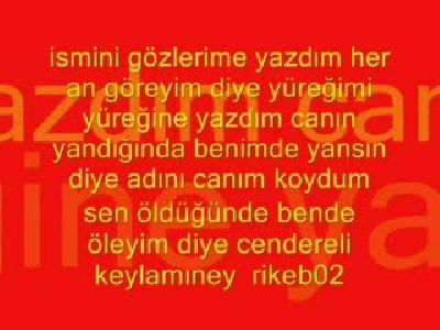 seyfi doğanay