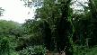 Lost 6.Sezon 8. B�l�m HD Turkce Altyaz�