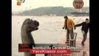 van kalesi aşireti(küfürsüz)